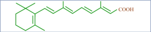 Molécula de retinol, Vitamina A